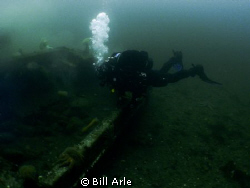 Trying to find the octopus.  Hood Canal, Puget Sound.  Ol... by Bill Arle 